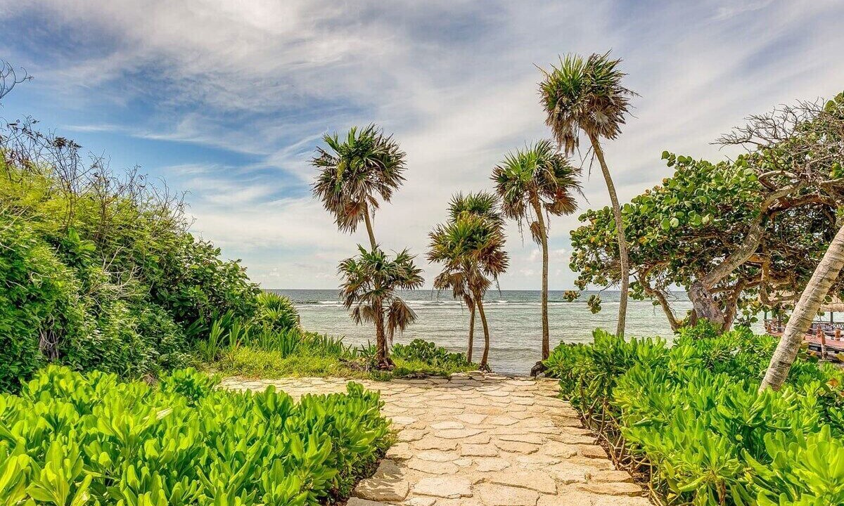 Photo of Others in Akumal