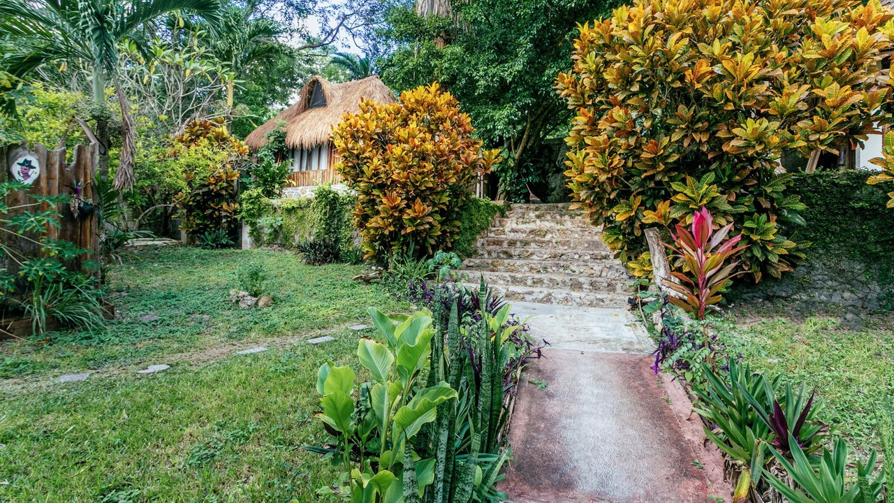 Photo of Outdoor in Bacalar