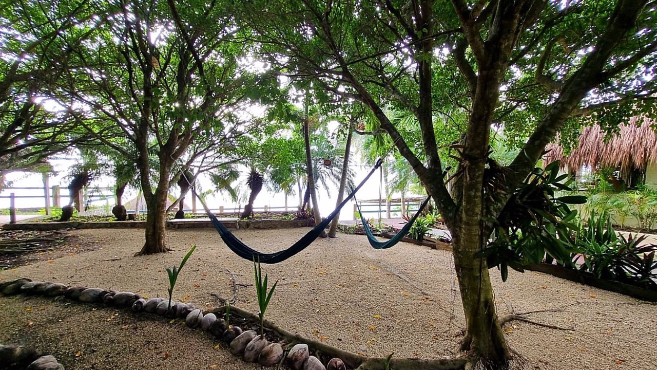 Photo of Outdoor in Bacalar