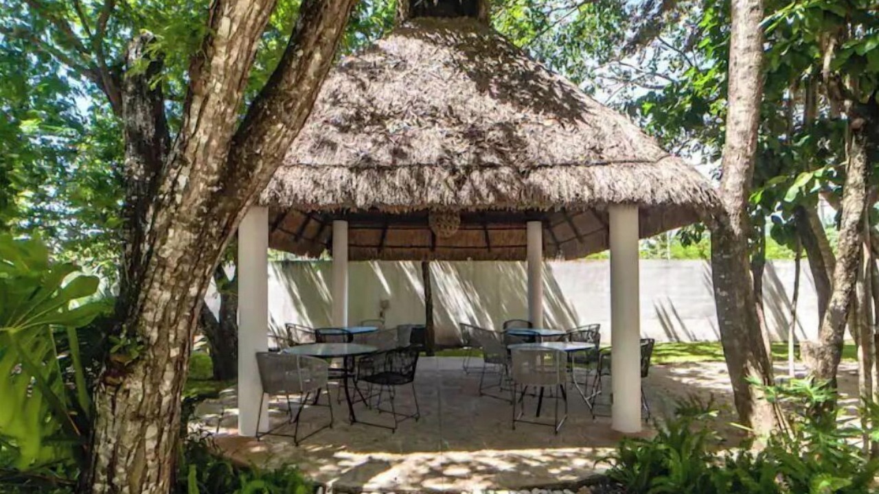 Photo of Outdoor in Alfredo V. Bonfil