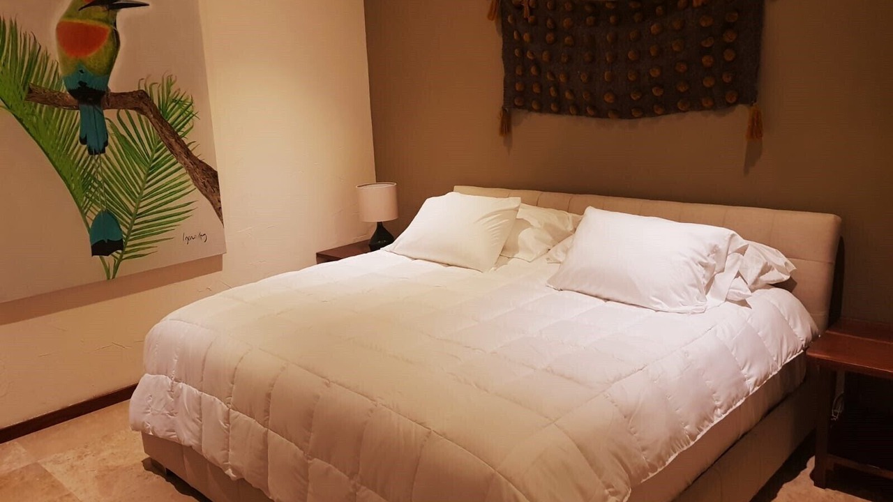 Photo of Bedroom in Playacar Fase II