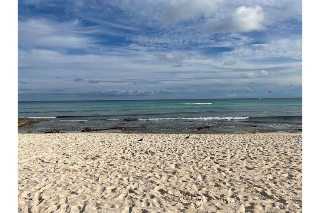 Photo of Others in Maroma
