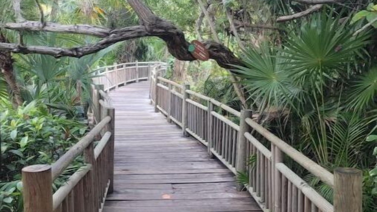 Photo of Outdoor in Maroma