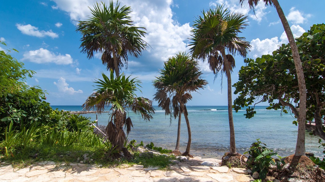 Photo of Others in Akumal