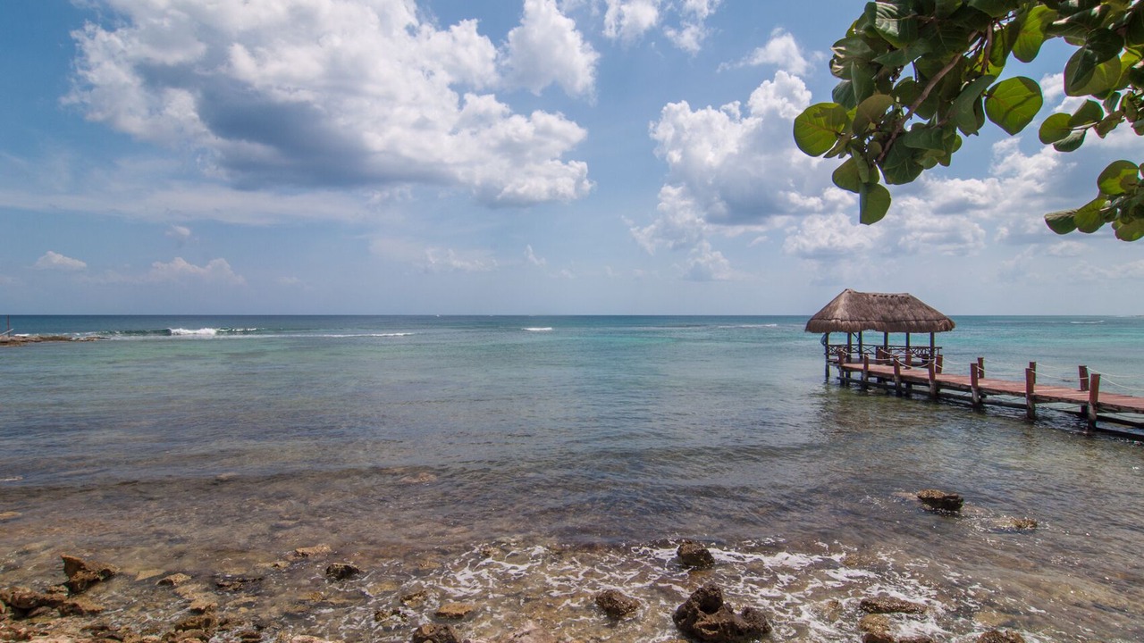 Photo of Others in Akumal