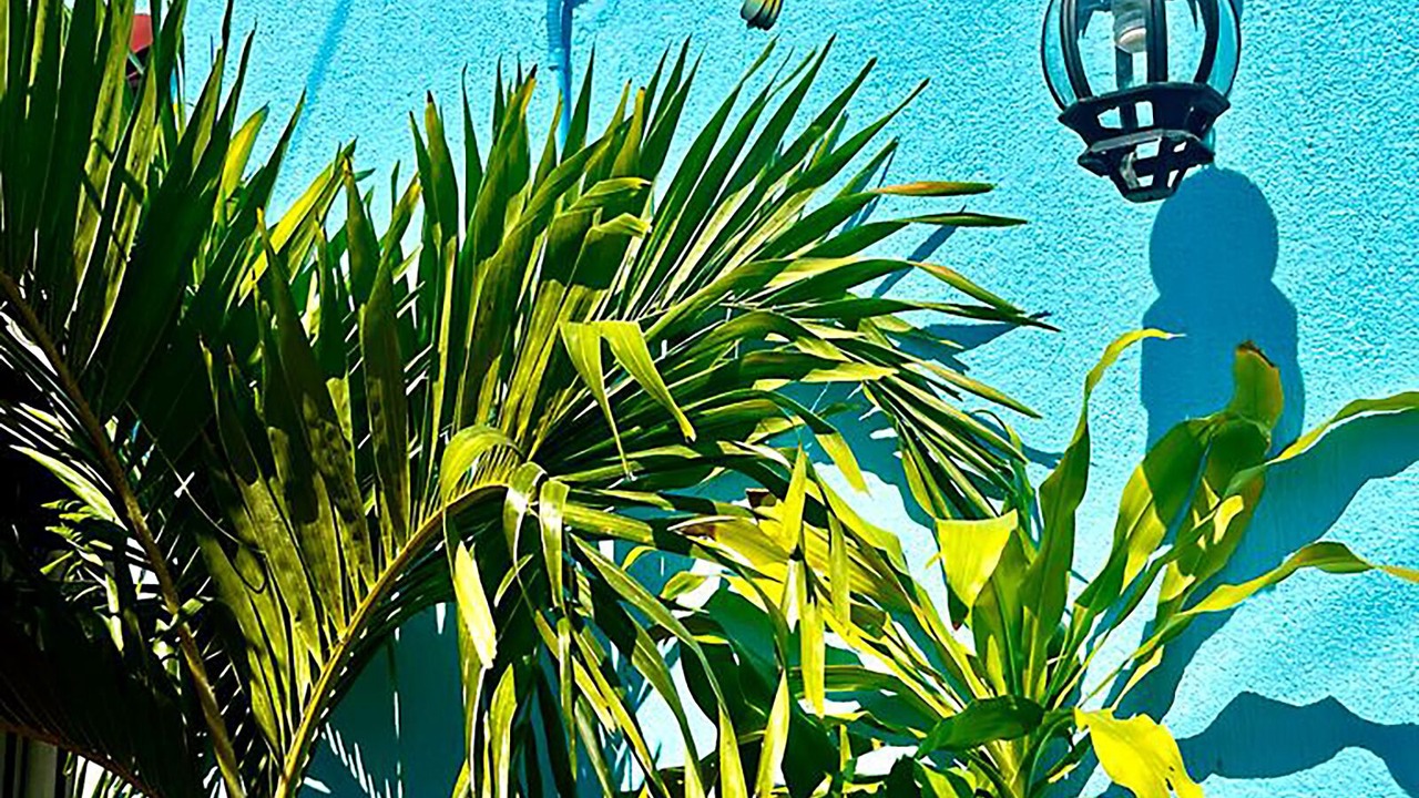 Photo of Outdoor in Villas Tulum