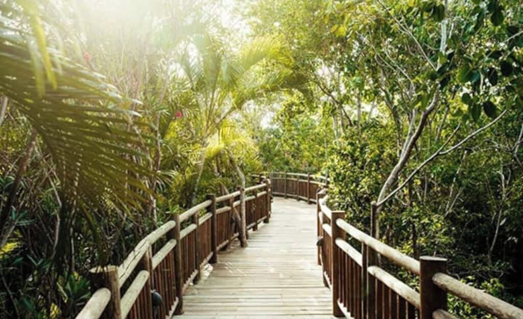Photo of Outdoor in Gonzalo Guerrero