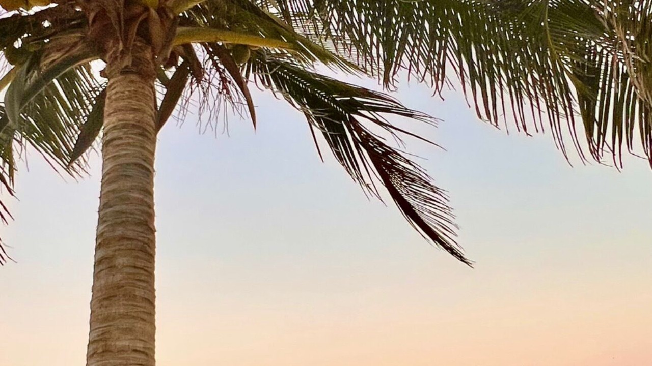 Photo of Outdoor in Puerto Morelos