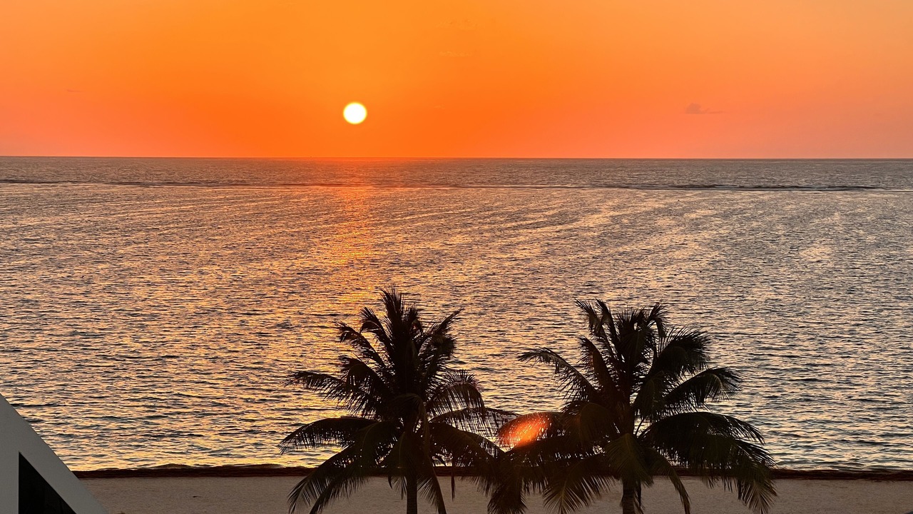 Photo of Others in Puerto Morelos