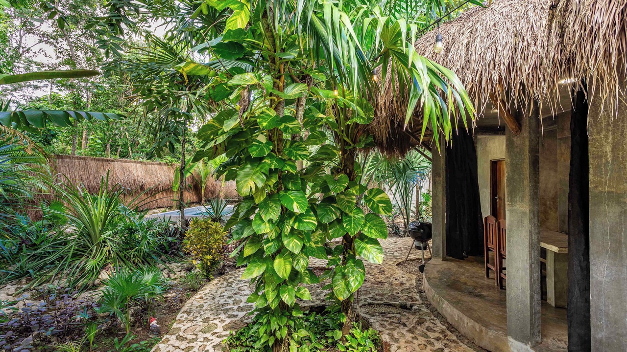 Photo of Outdoor in Buenavista
