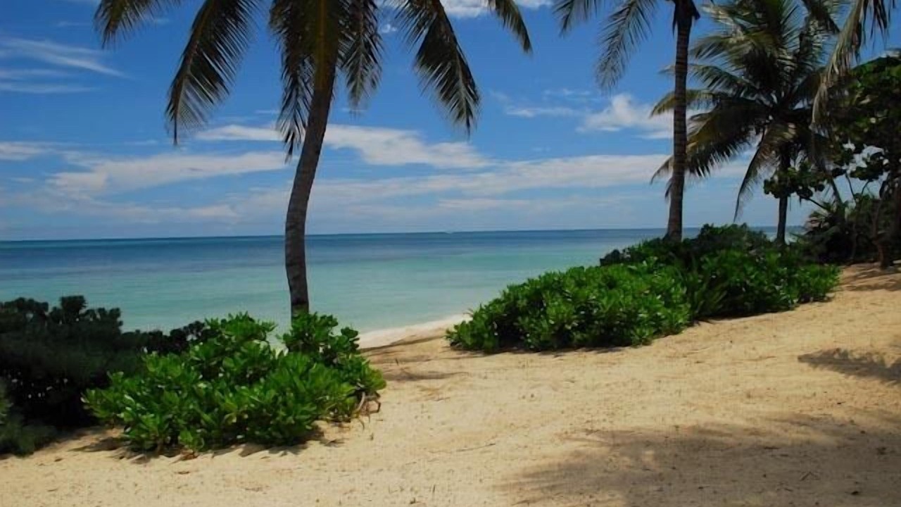 Photo of Others in Punta Allen
