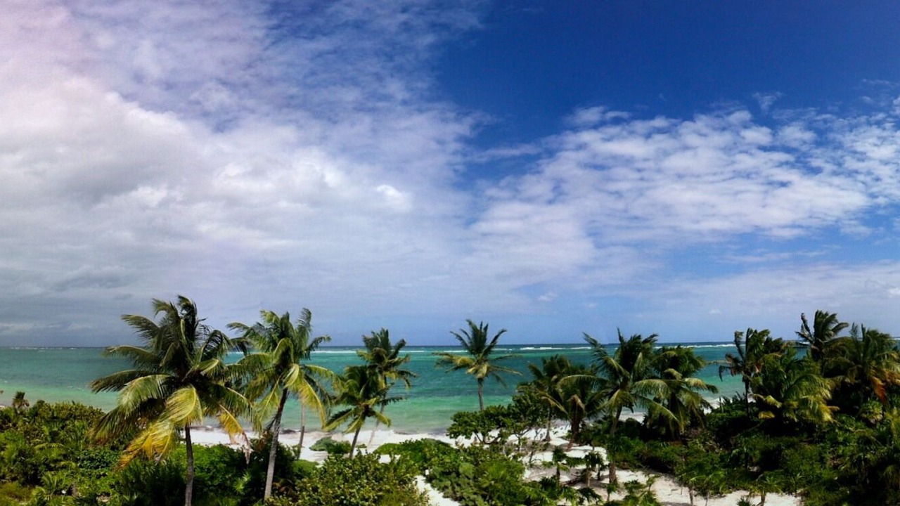 Photo of Others in Punta Allen