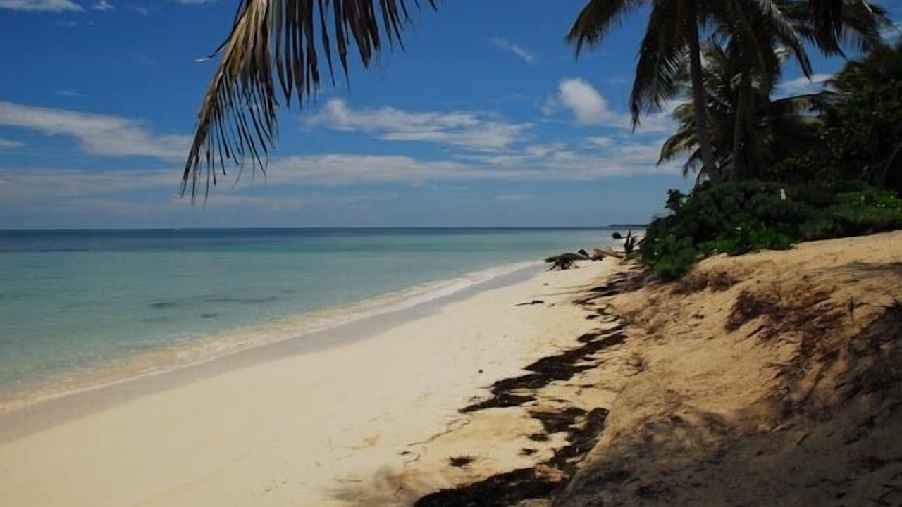 Photo of Others in Punta Allen