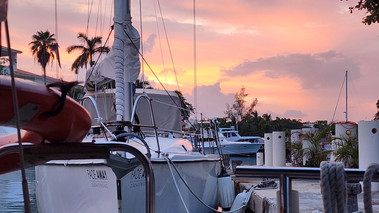 Photo of Others in Puerto Aventuras