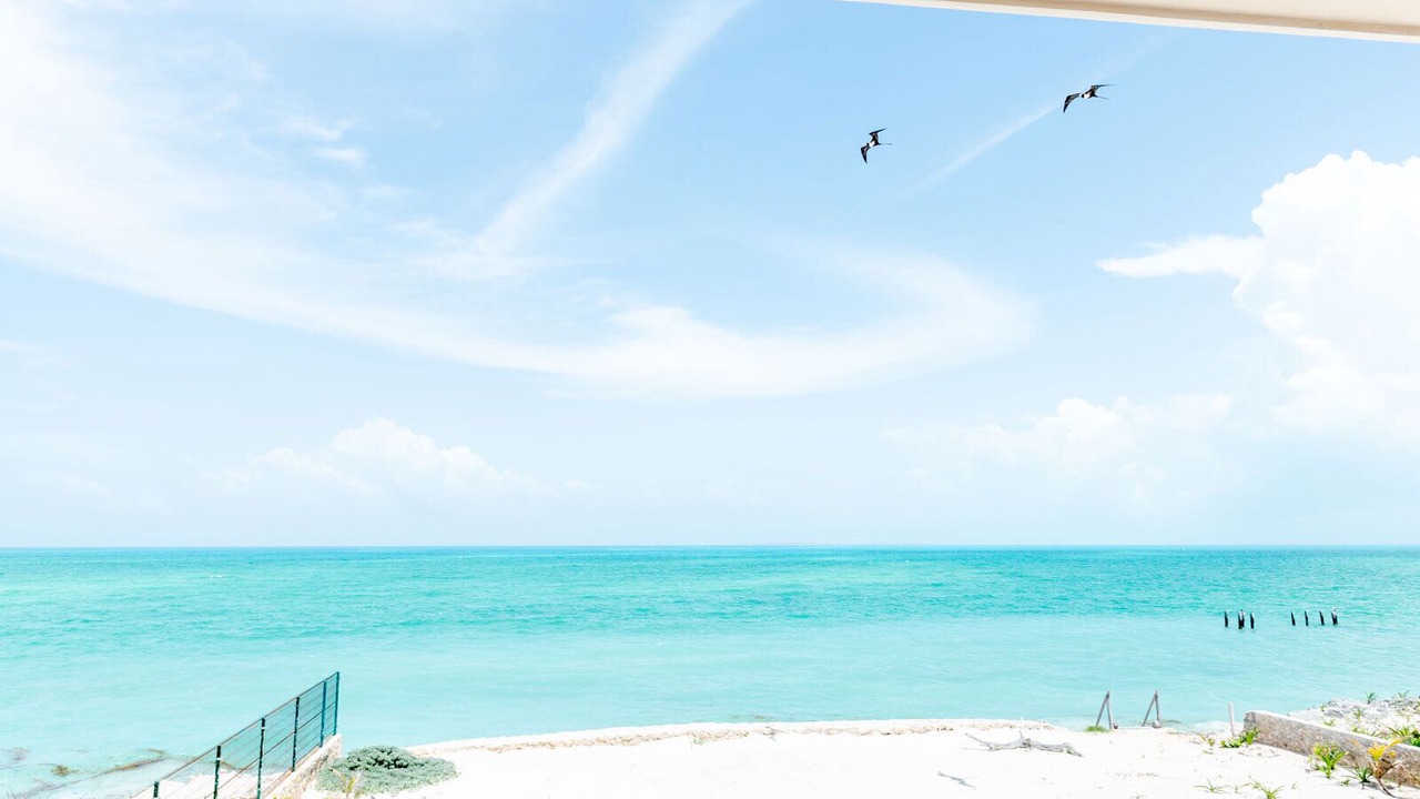 Photo of Others in Costa Mujeres