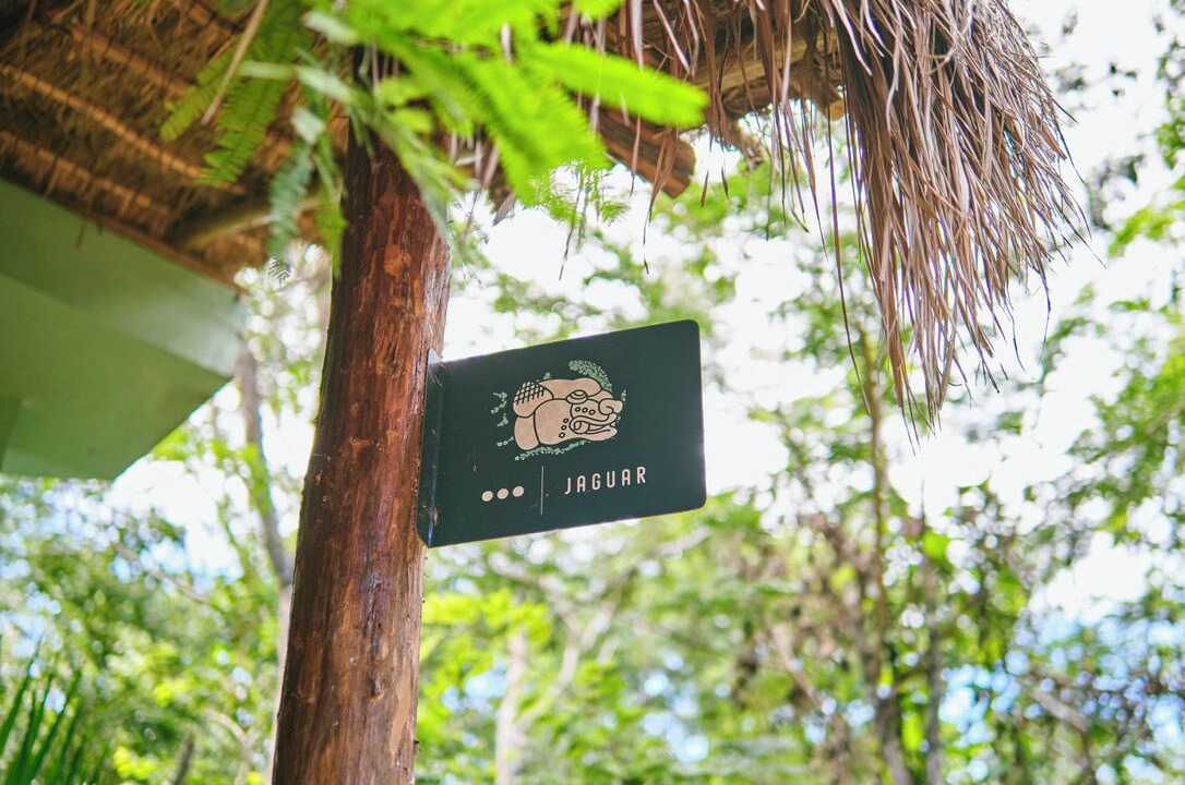 Photo of Outdoor in Cozumel