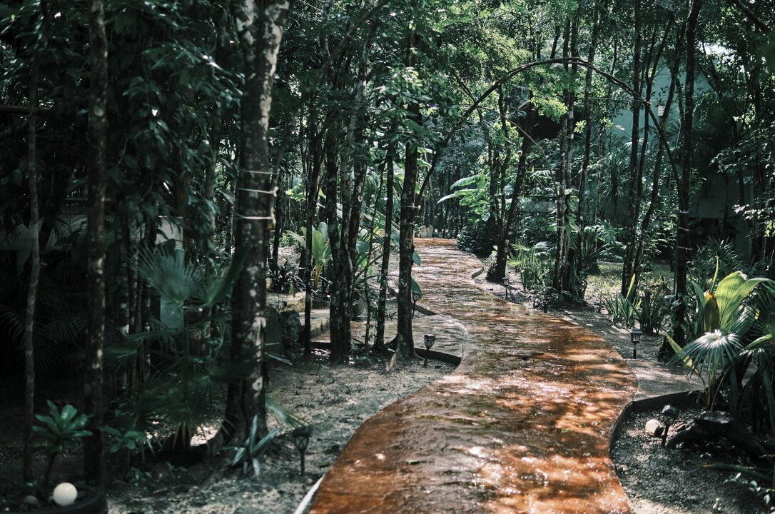 Photo of Outdoor in Cozumel