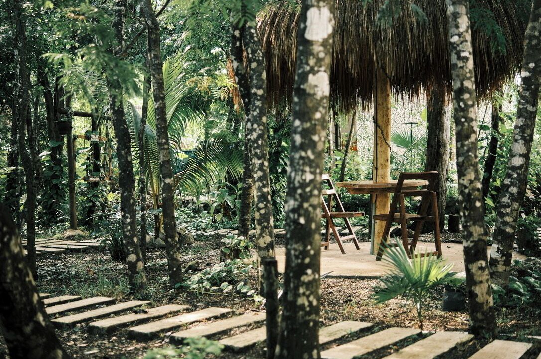 Photo of Outdoor in Cozumel