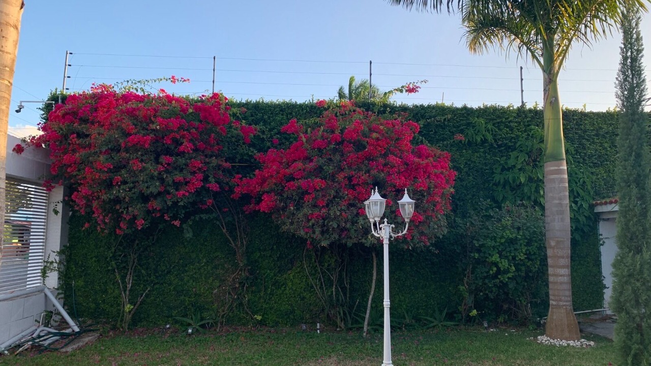 Photo of Outdoor in Chetumal