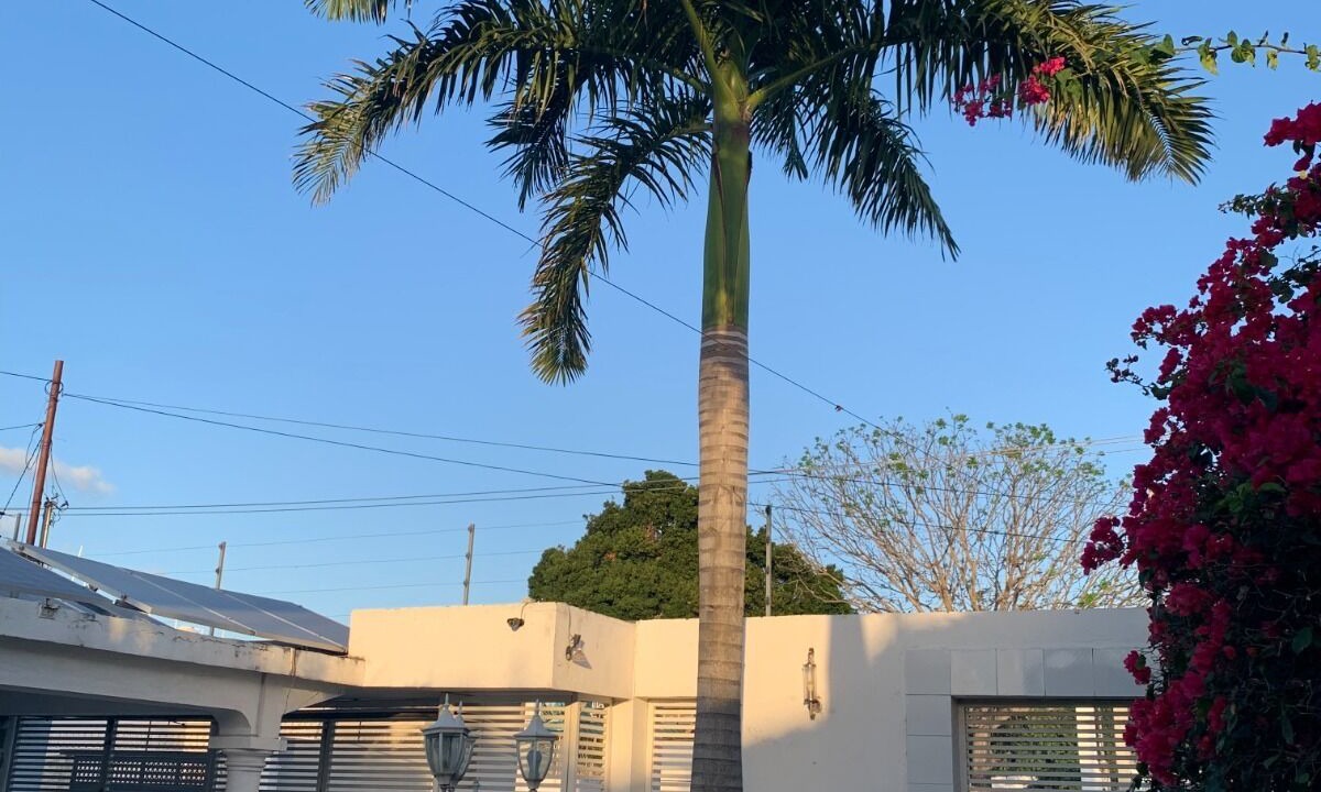Photo of Outdoor in Chetumal