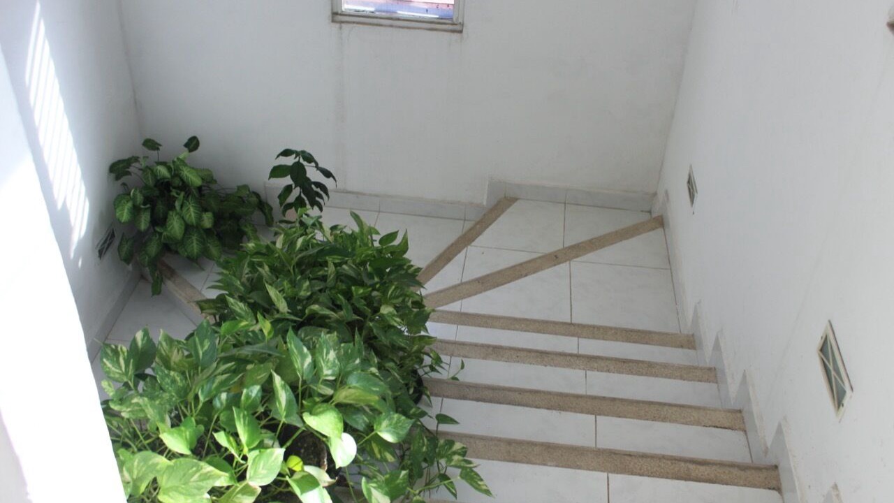 Photo of Others in Chetumal