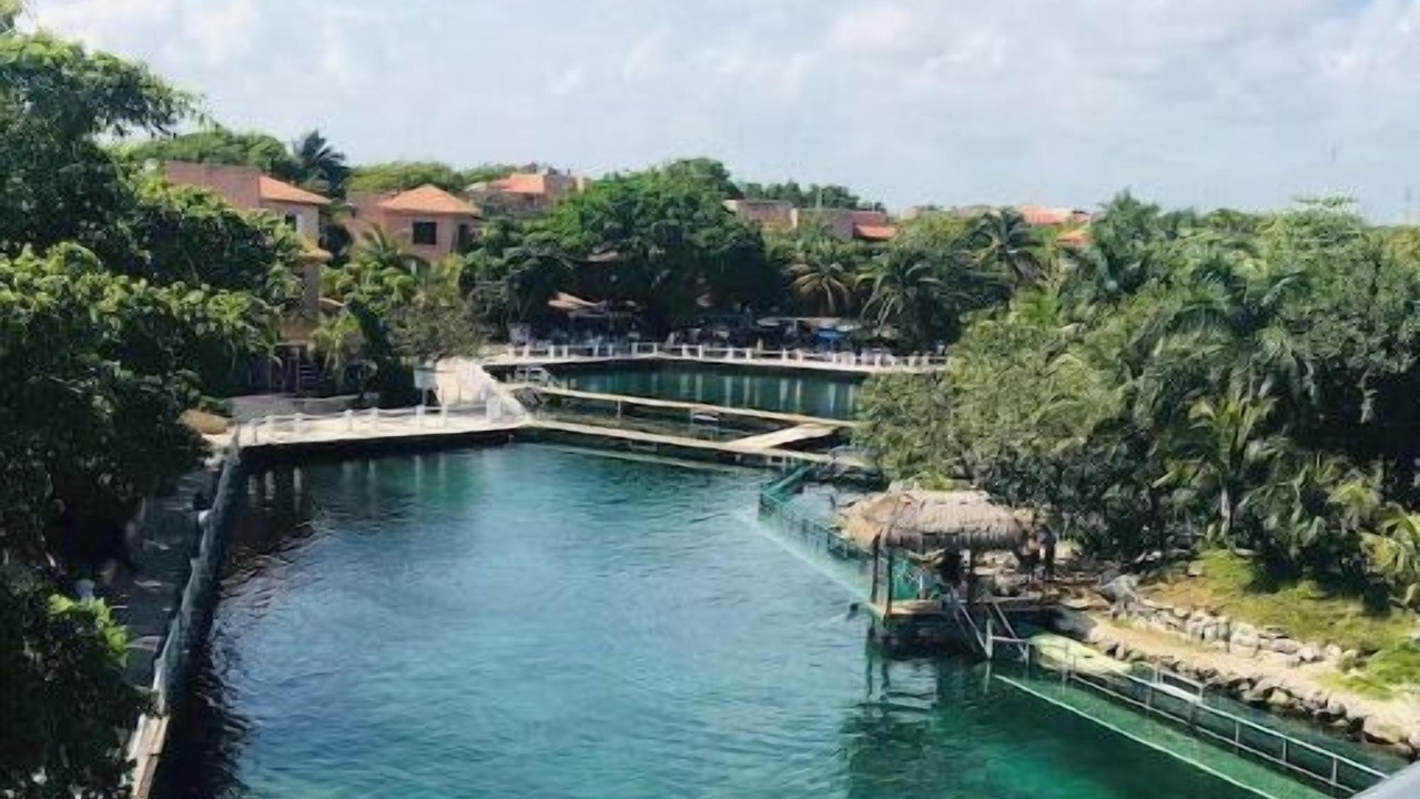 Photo of Outdoor in Puerto Aventuras