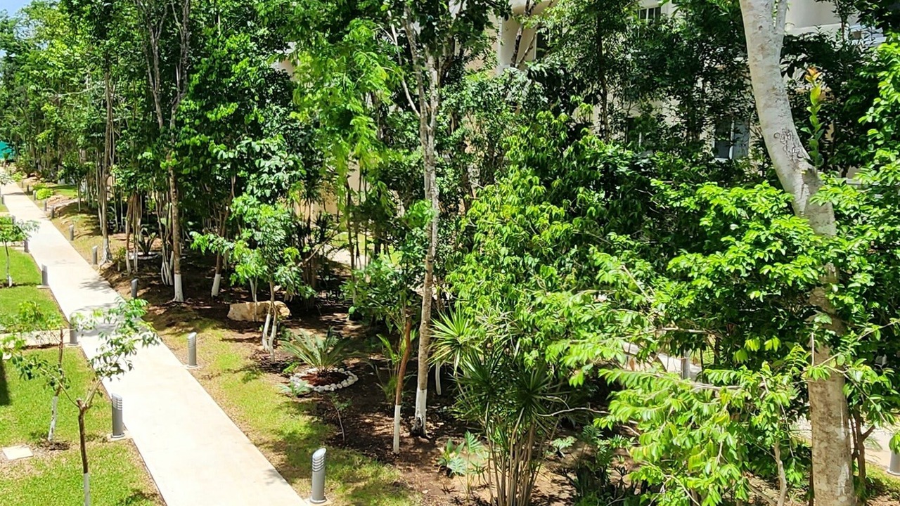 Photo of Outdoor in Puerto Juarez