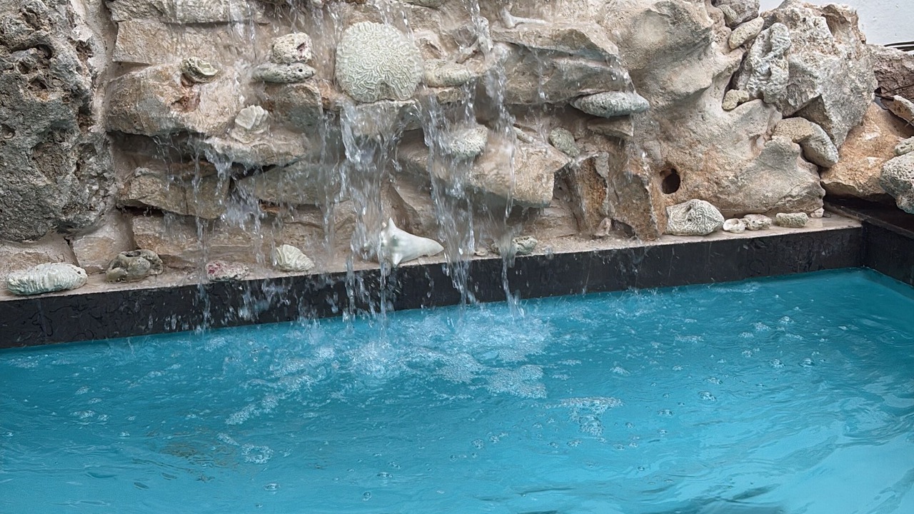 Photo of Outdoor in Akumal