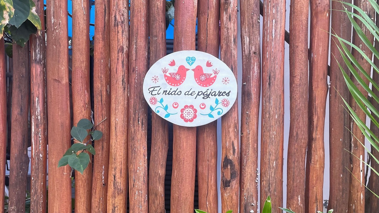 Photo of Outdoor in Akumal