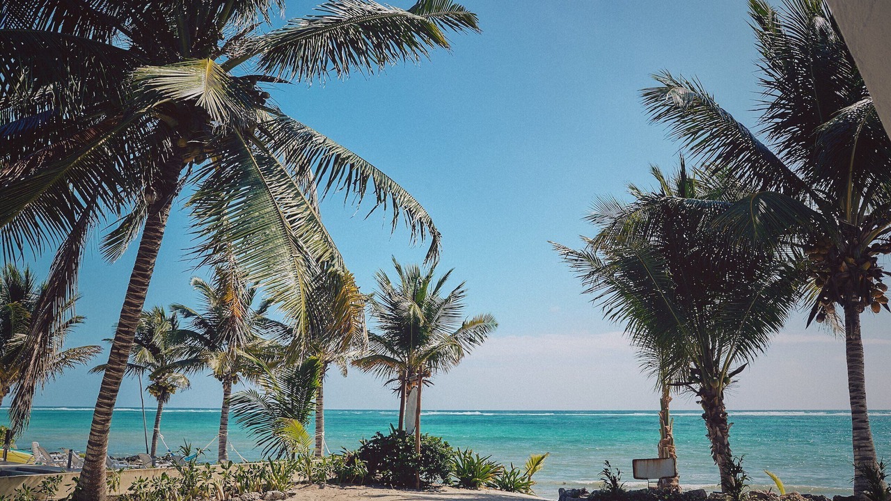 Photo of Others in Tulum