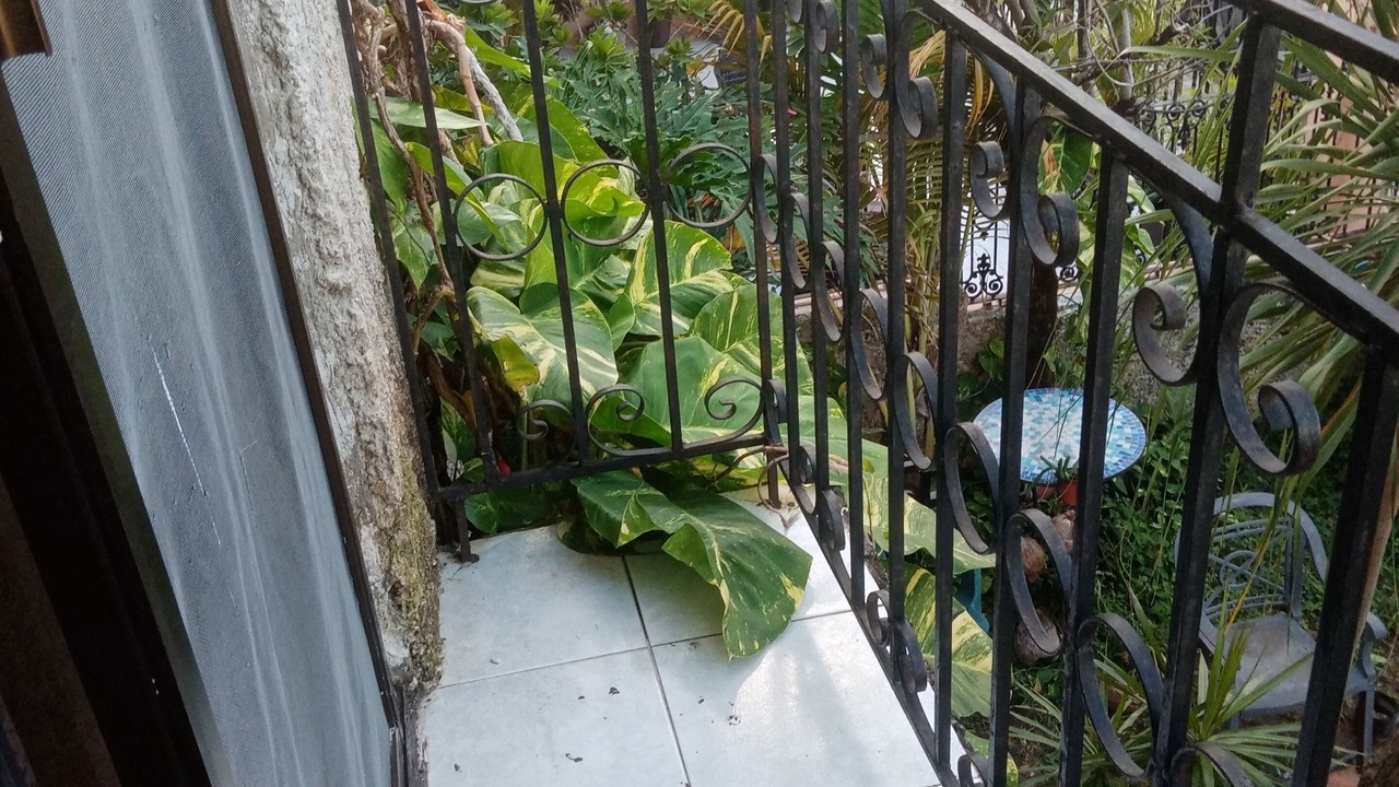 Photo of Outdoor in Puerto Juarez