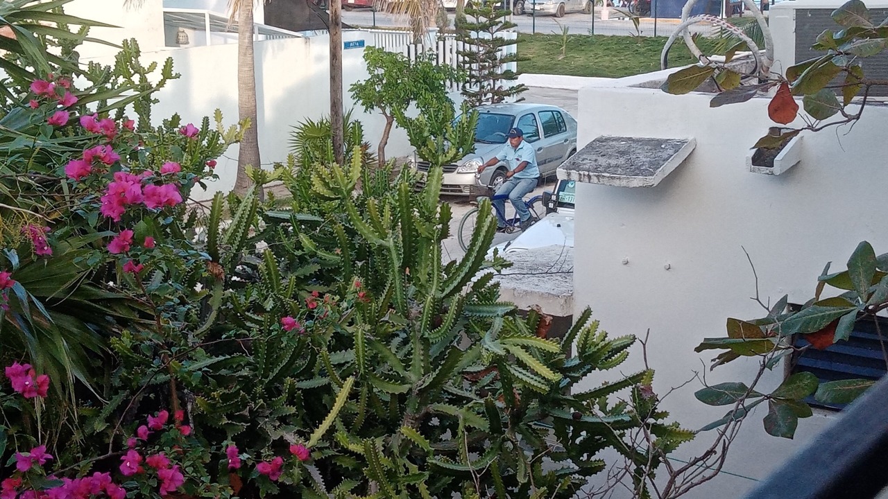Photo of Outdoor in Puerto Juarez