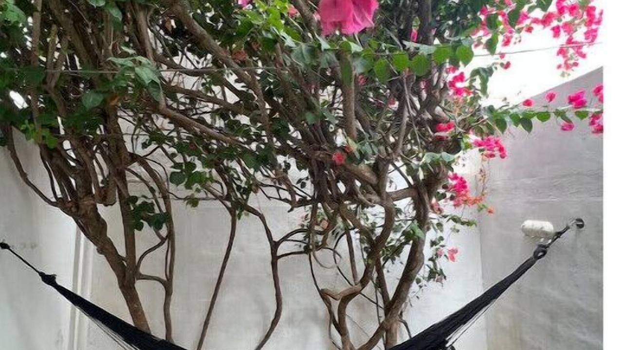 Photo of Others in Villas Tulum