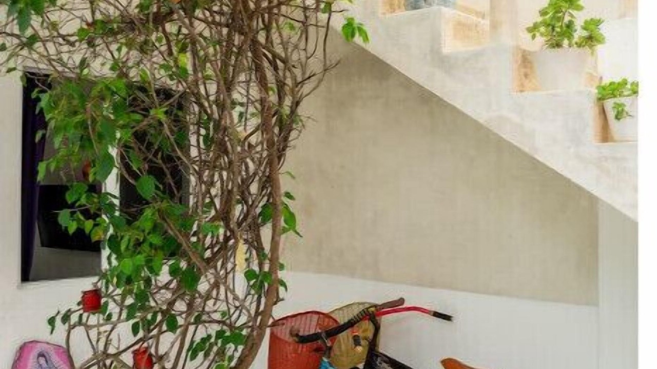 Photo of Outdoor in Villas Tulum