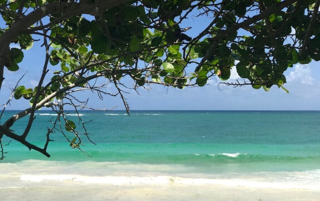 Photo of Others in Villas Tulum