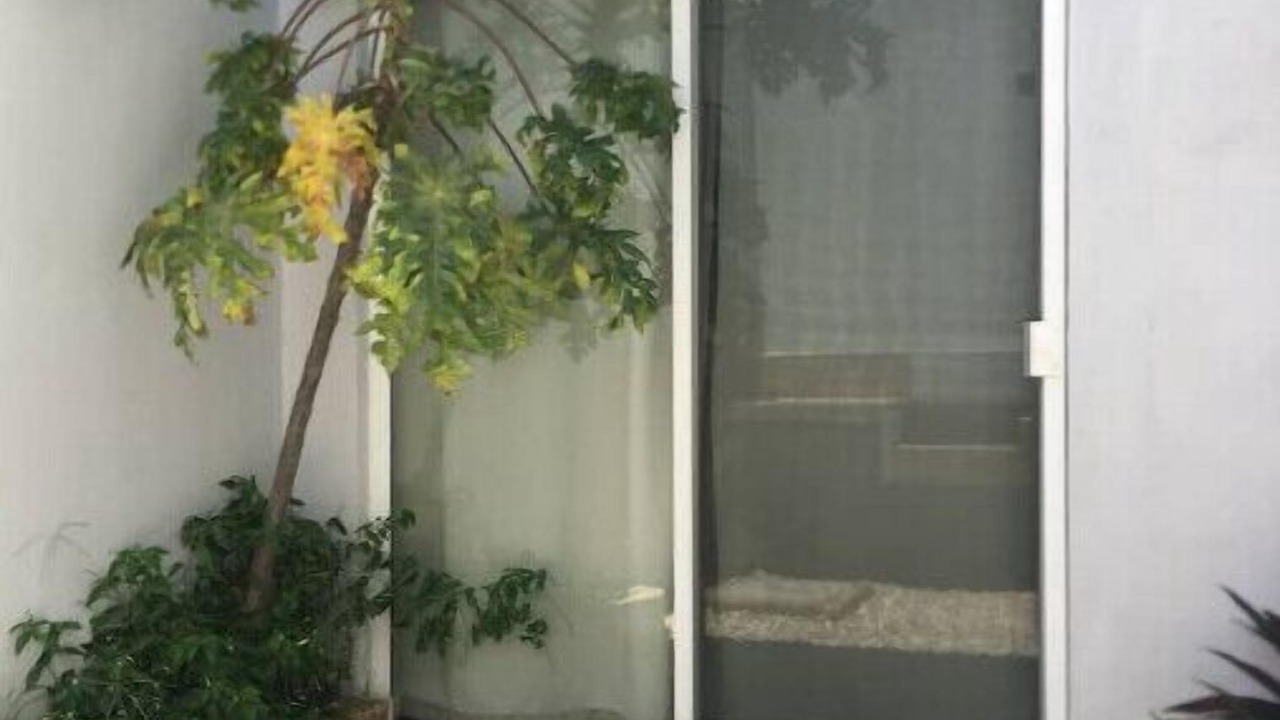 Photo of Outdoor in Downtown Cancun