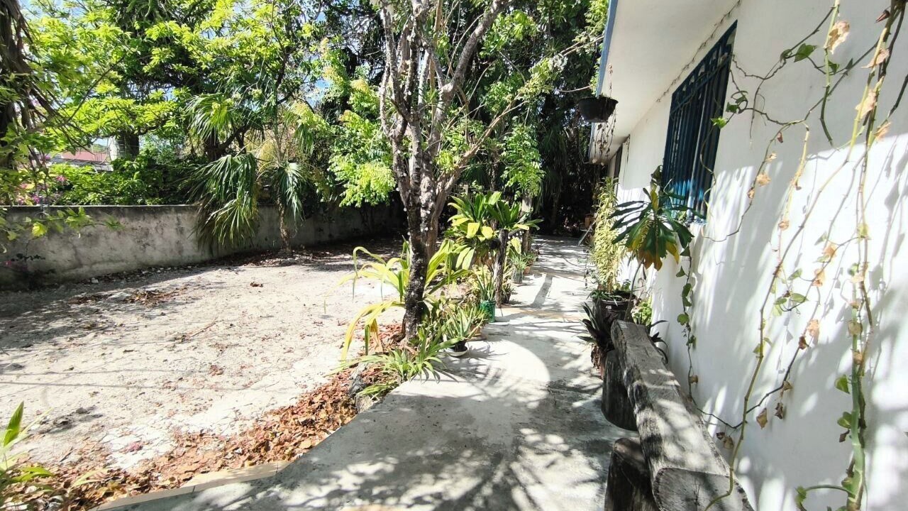 Photo of Outdoor in Colonia Adolfo Lopez Mateos