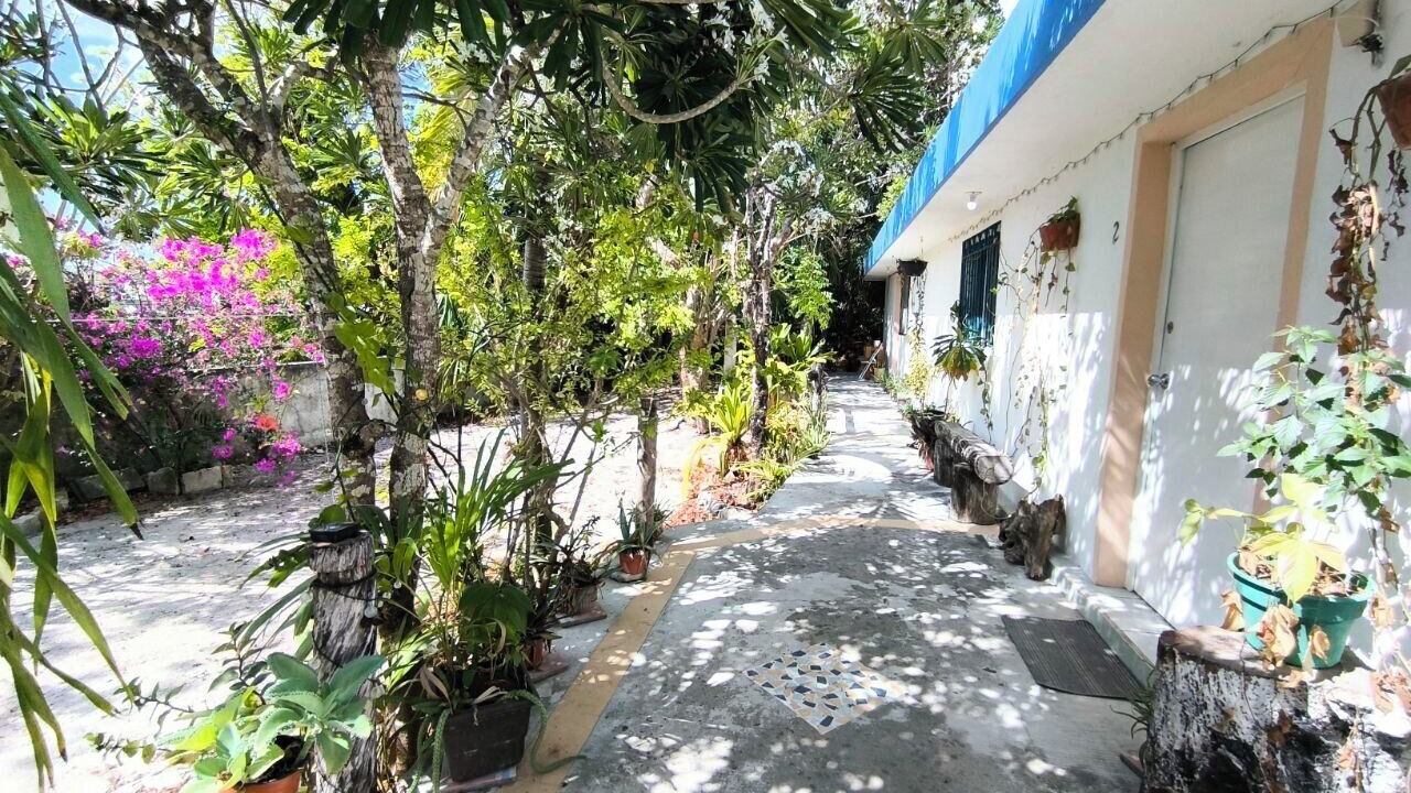 Photo of Outdoor in Colonia Adolfo Lopez Mateos