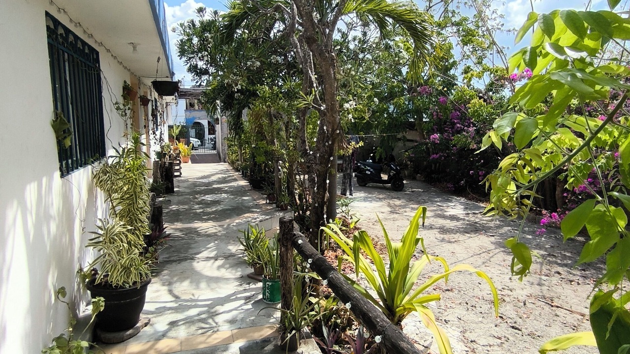 Photo of Outdoor in Colonia Adolfo Lopez Mateos