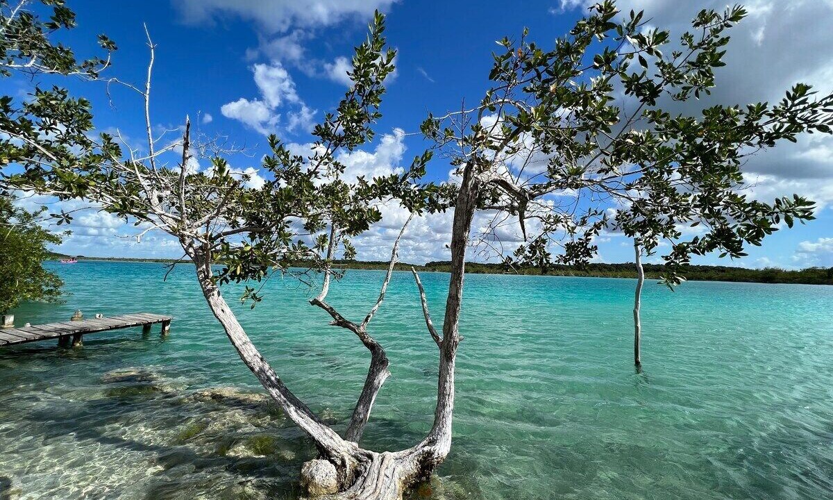 Photo of Others in Bacalar