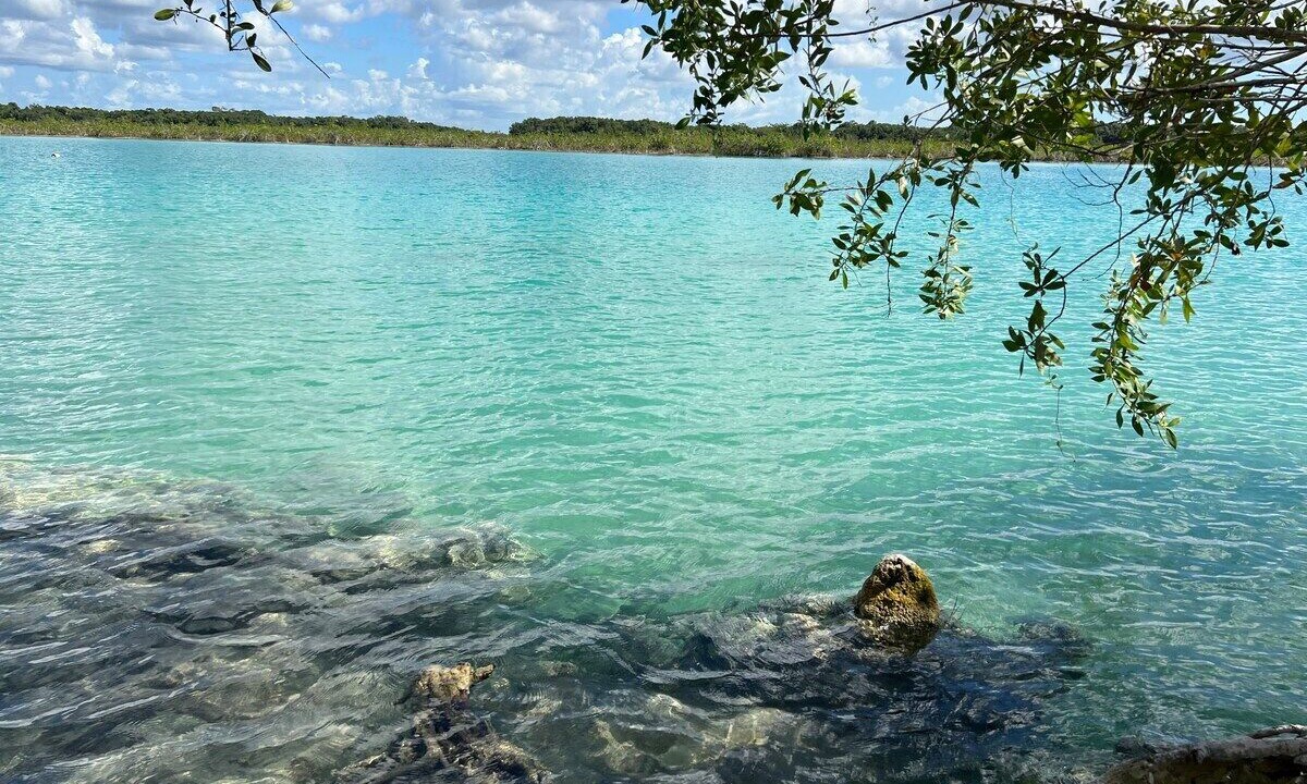 Photo of Others in Bacalar