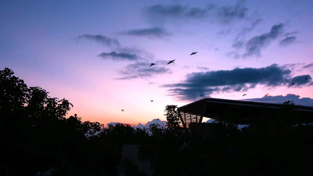 Photo of Outdoor in Tulum City Center