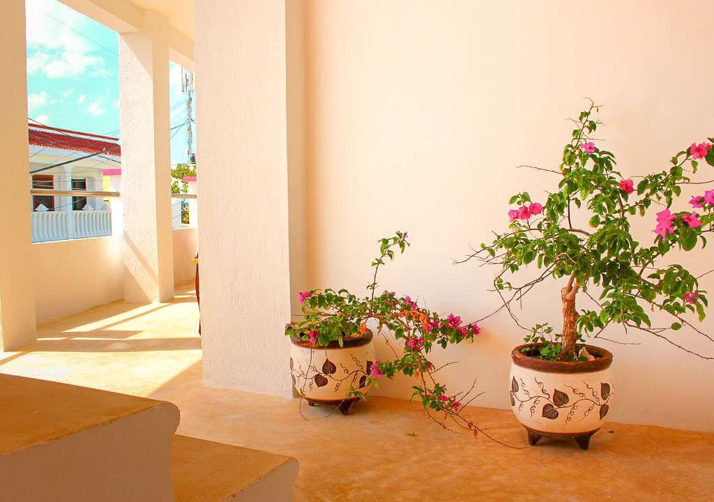 Photo of Outdoor in Colonia Meteorologico