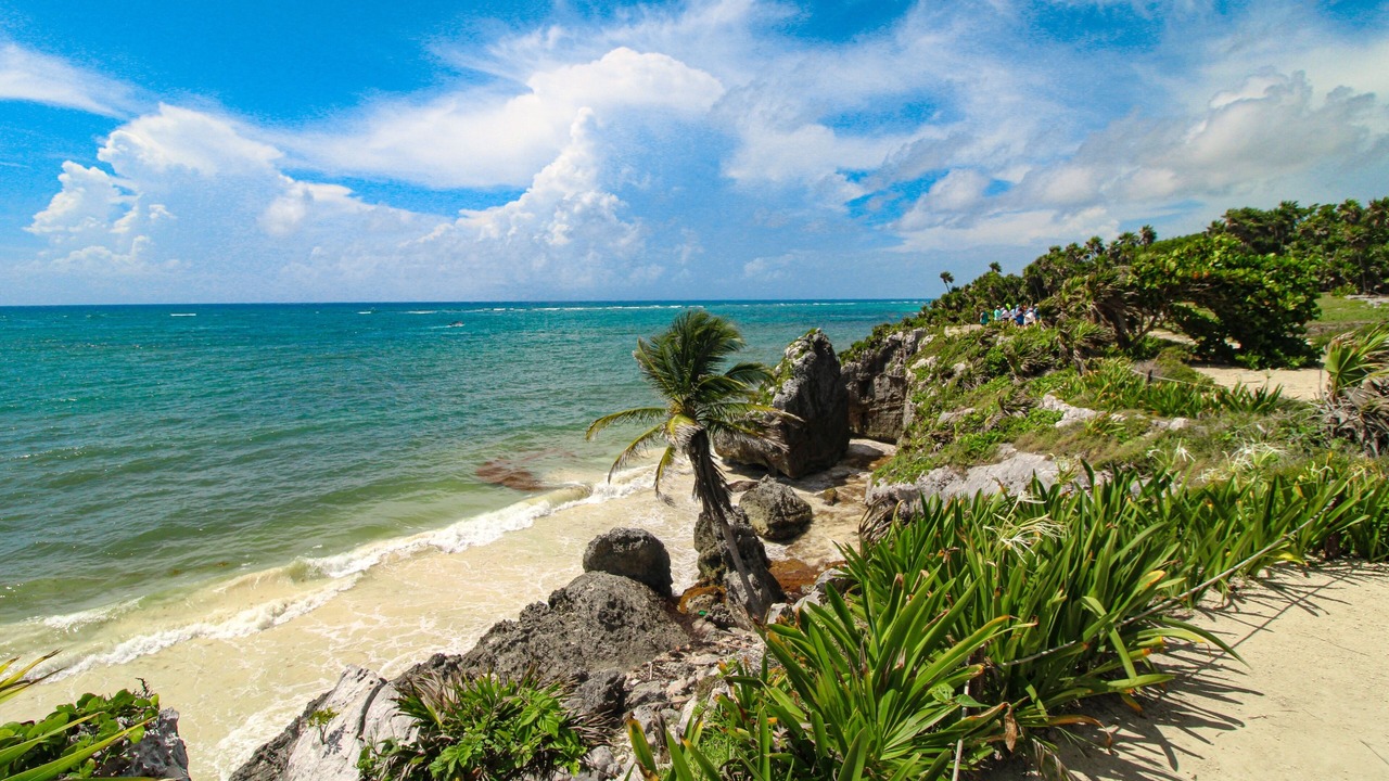Photo of Others in Akumal