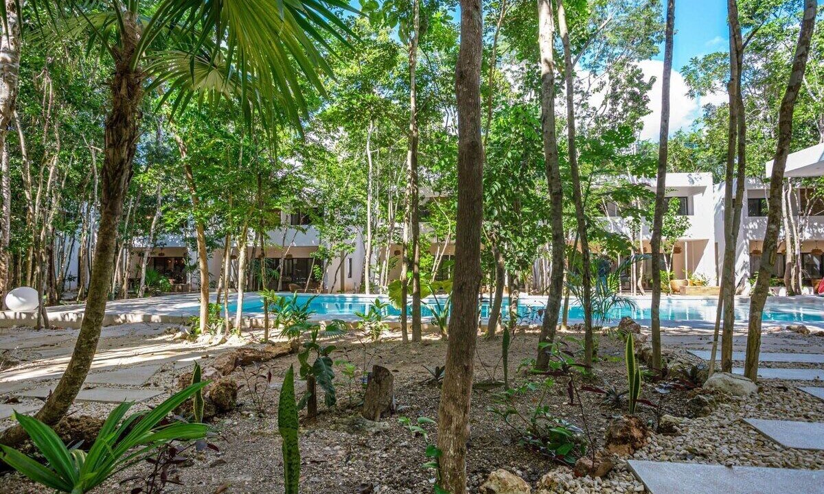 Photo of Outdoor in Bacalar