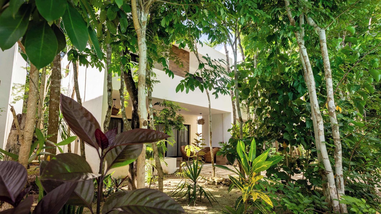 Photo of Outdoor in Bacalar