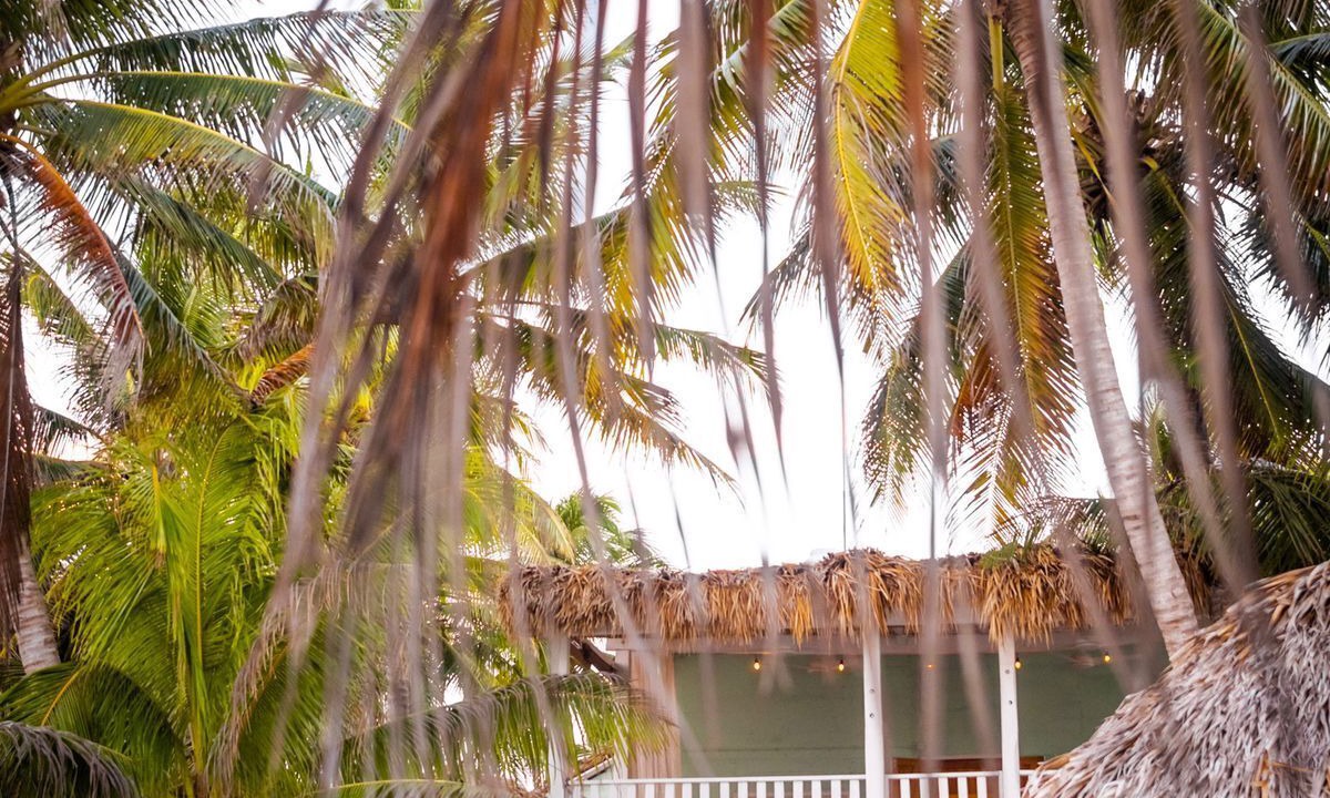 Photo of Outdoor in El Cuyo