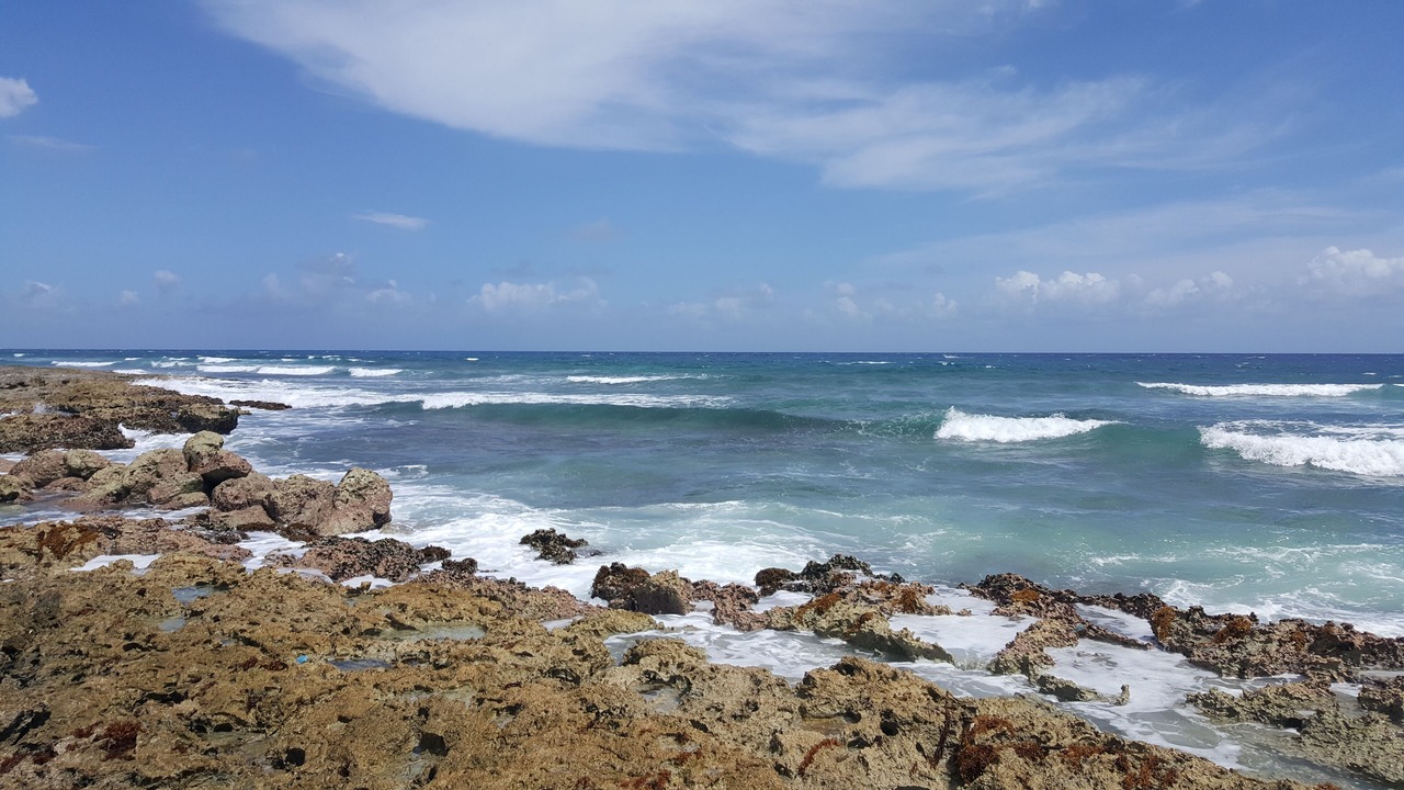 Photo of Others in Akumal