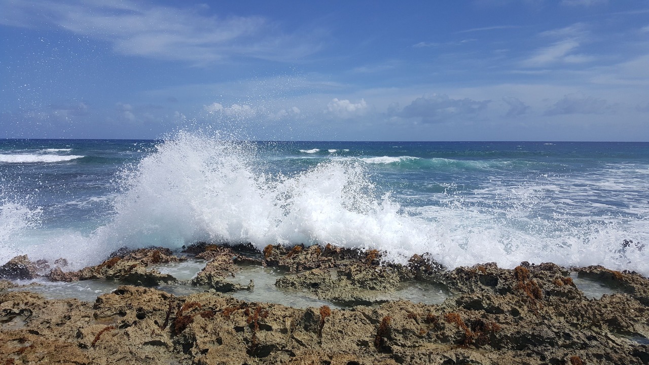 Photo of Others in Akumal