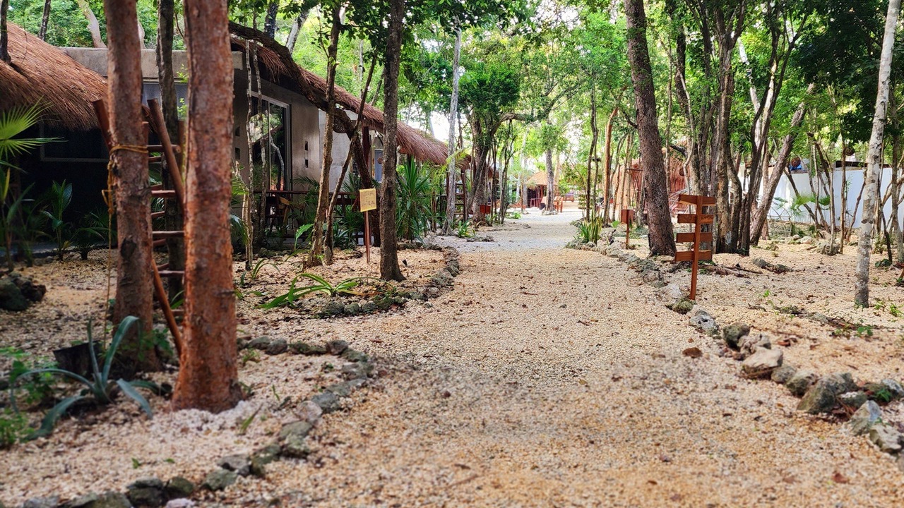 Photo of Outdoor in Chetumal